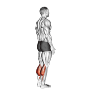 Nâng gót (Calf Raise)