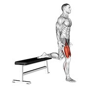 Squat (Gập gối toàn thân)