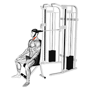 Gập cổ dây cáp (Cable Seated Neck Flexion)