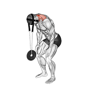 Duỗi cổ có tạ đứng (Weighted Standing Neck Extension)