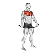 Giãn cơ ngực và vai trước (Chest and Front of Shoulder Stretch)
