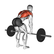 Chèo tạ (Bent-over Row)