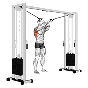 Kéo xô dây cáp (Lat Pulldown)