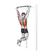 Kéo xà (Pull-up)