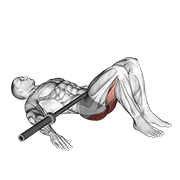 Đẩy hông tạ đòn (Barbell Glute Bridge)