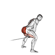 Kéo dây cáp qua đùi (Cable Pull Through)