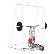 Đẩy chân trên máy (Leg Press)