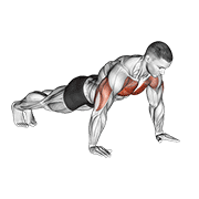 Hít đất (Push-up)