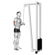 Kéo cáp tay sau (Triceps Pushdown)
