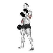 Búa tạ (Hammer Curl)