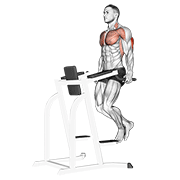 Đẩy tay sau (Triceps Dip)