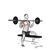 Đẩy vai (Barbell Seated Overhead Press)