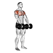 Nâng tạ trước vai (Front Raise)