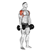 Nâng tạ ngang vai (Lateral Raise)